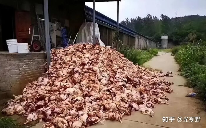 ������ ������� ������ ��������� ��� �� ������