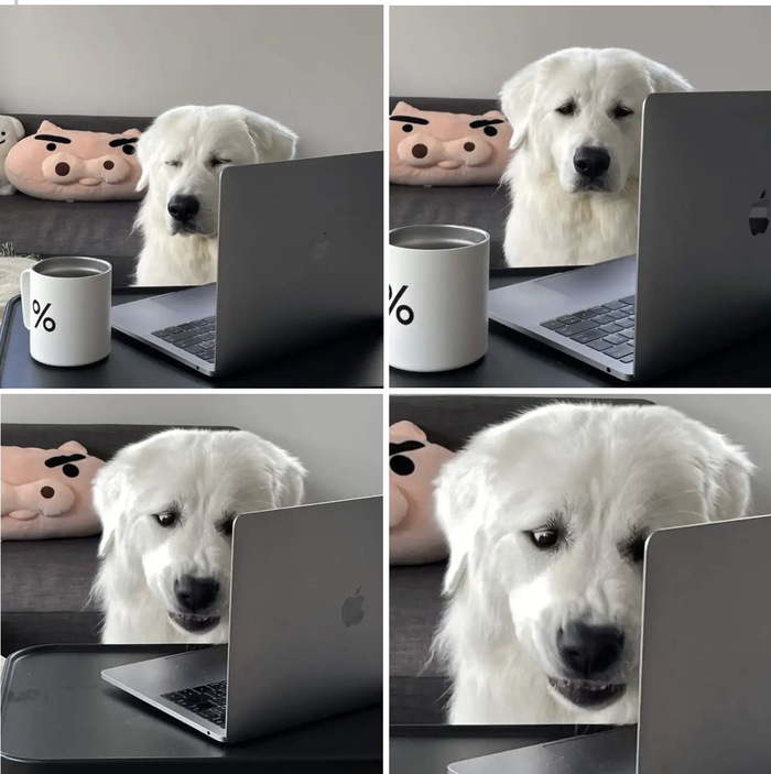 ����� ���� ��������� ������� �� 1 ������ �� ��������� �������� ���