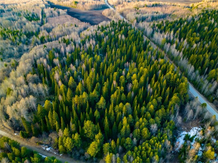 Тобольский район, деревня Потапова Тобольск, Фотография, Квадрокоптер, Длиннопост, Вид сверху, Природа