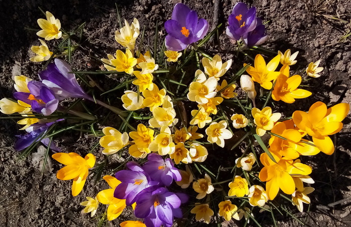 Хорошие новости! Дайджест 27 апреля