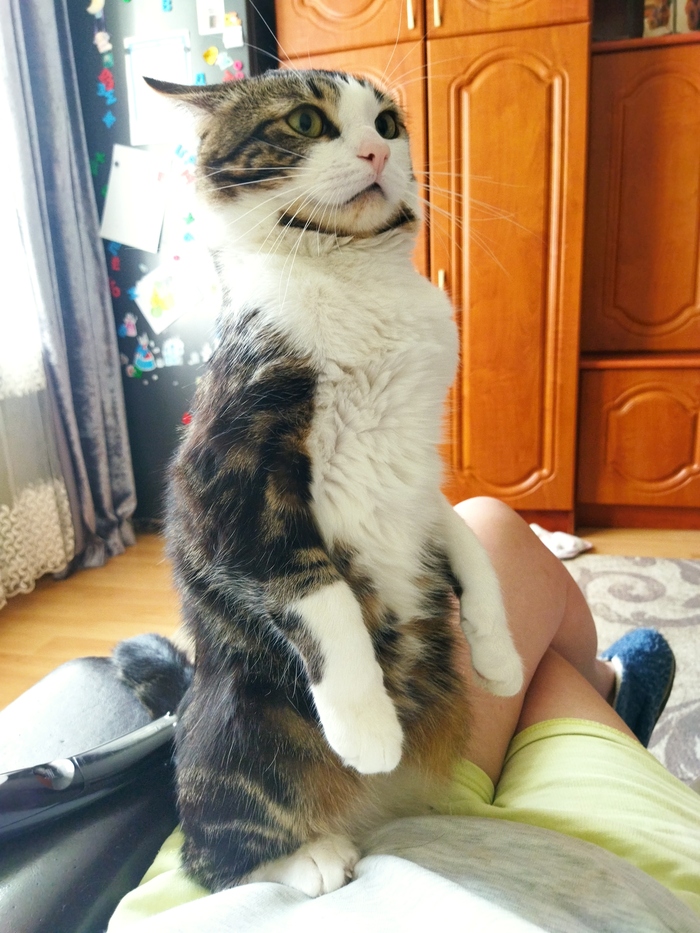 � ����� �����