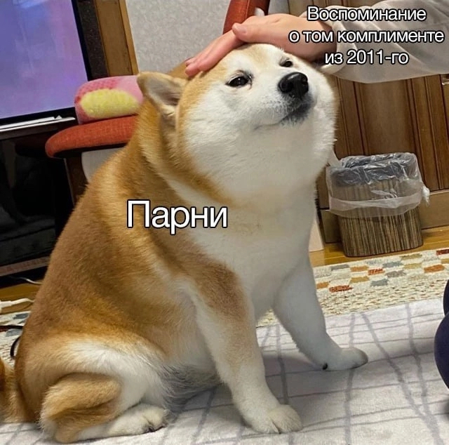 ��� ����� ���� ����� ������� ����� �� �����