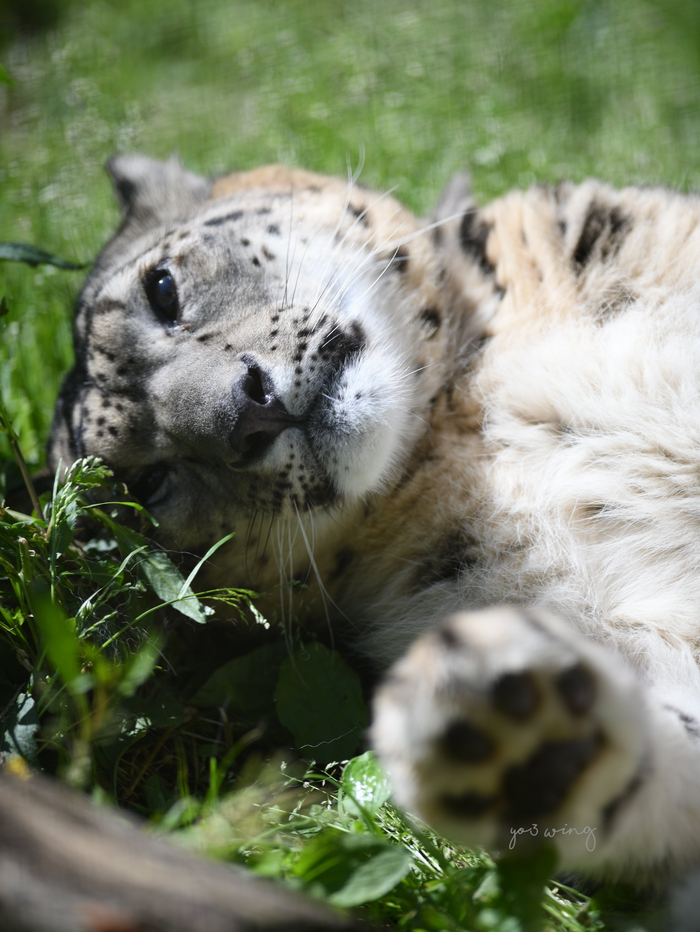 Постой, не уходи!