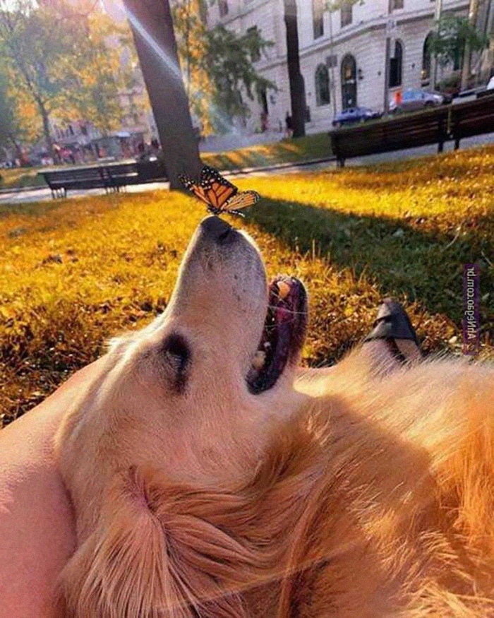 ����� ���� �� ����!