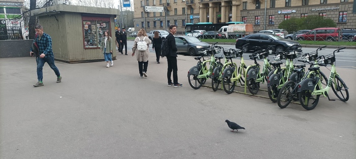 Ср*ные самокаты | Пикабу