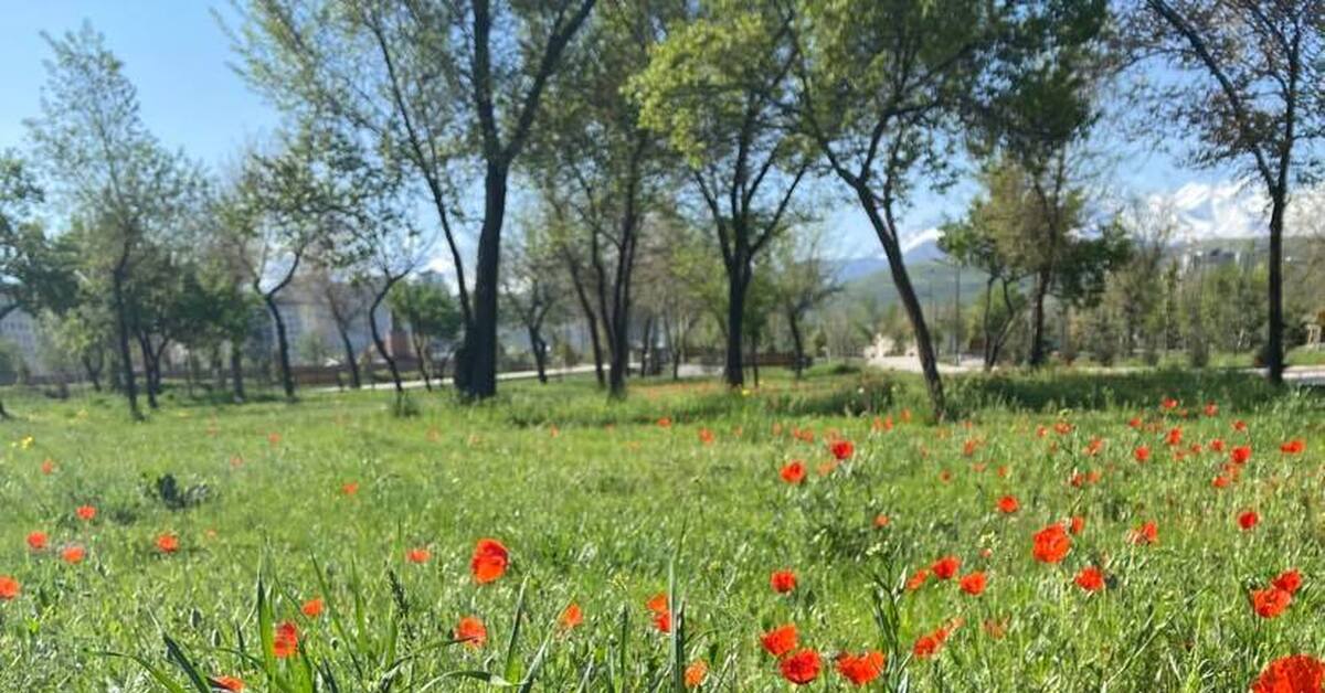 27 апреля | Пикабу