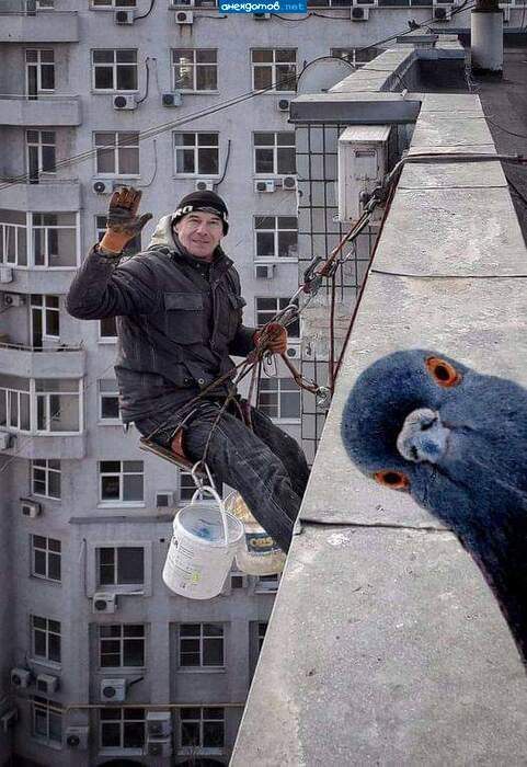 �����, �� �����?