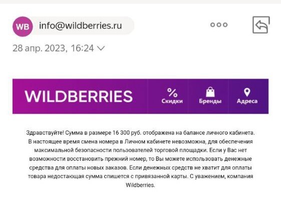   Wildberris.   ,   , , , Wildberries,  