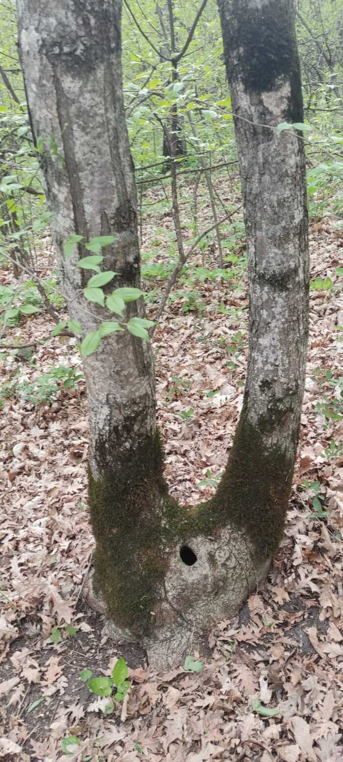 Кто же так нагло воспользовался им?
