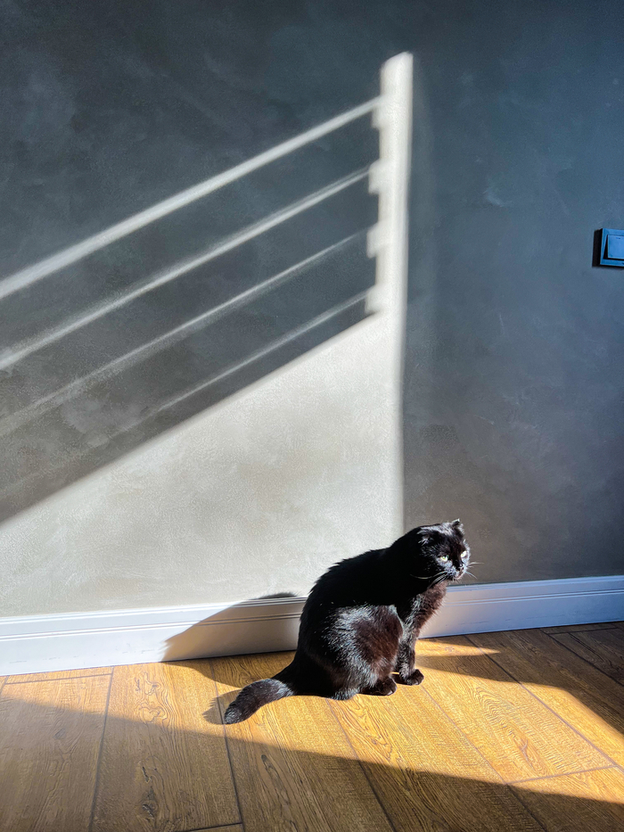 ������������� ����