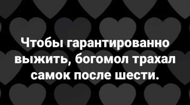 ����� �� ���� ��������� �������� ����������: ����� ��������