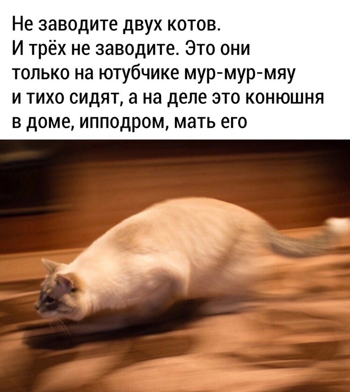 �� �������� �����