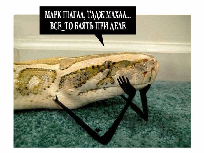 Все при деле