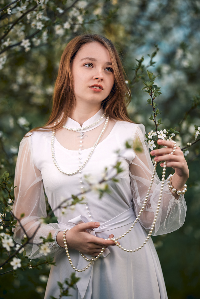 Весенний жемчуг | Пикабу