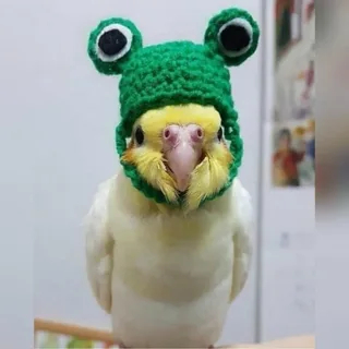 �� ��� ��� ����?!