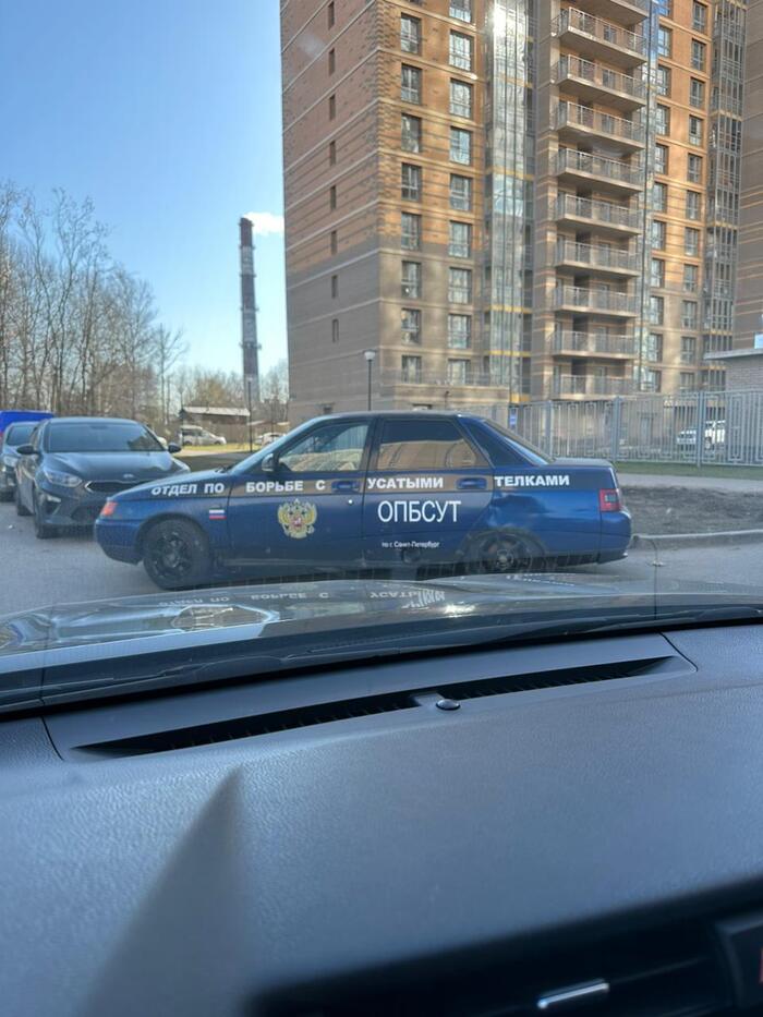 Нужная служба!)) | Пикабу