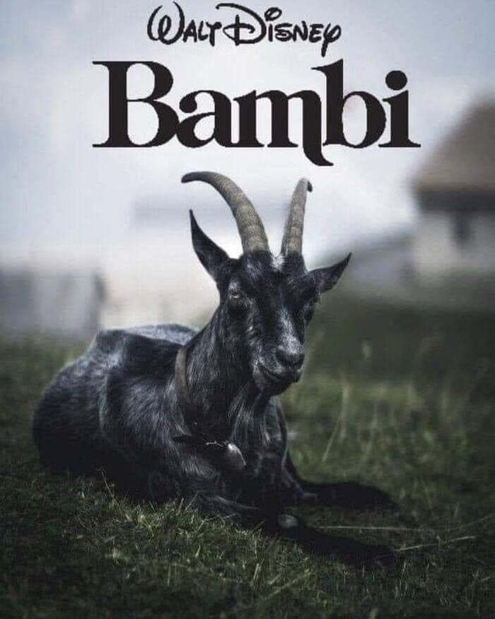 Бэмби | Пикабу