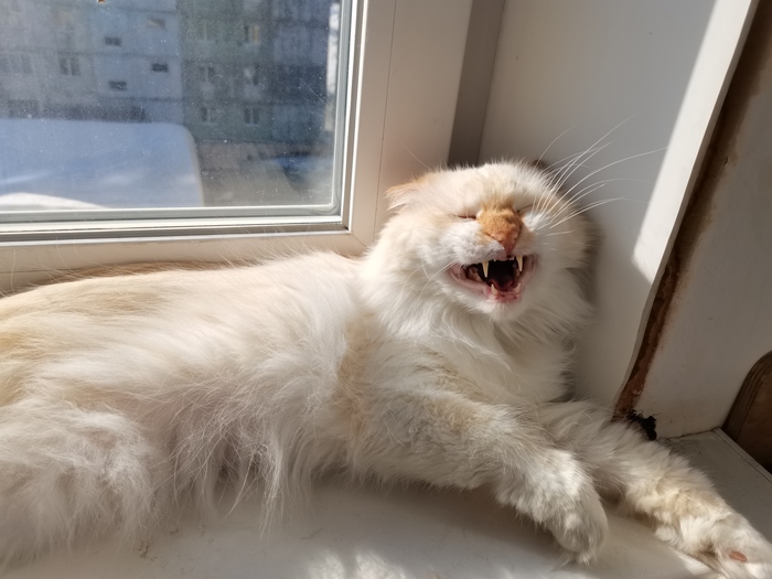 Удачный кадр