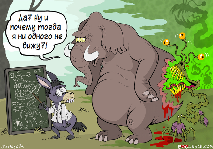   -  ,    ,  , Bogleech, Jonathan Wojcik, 