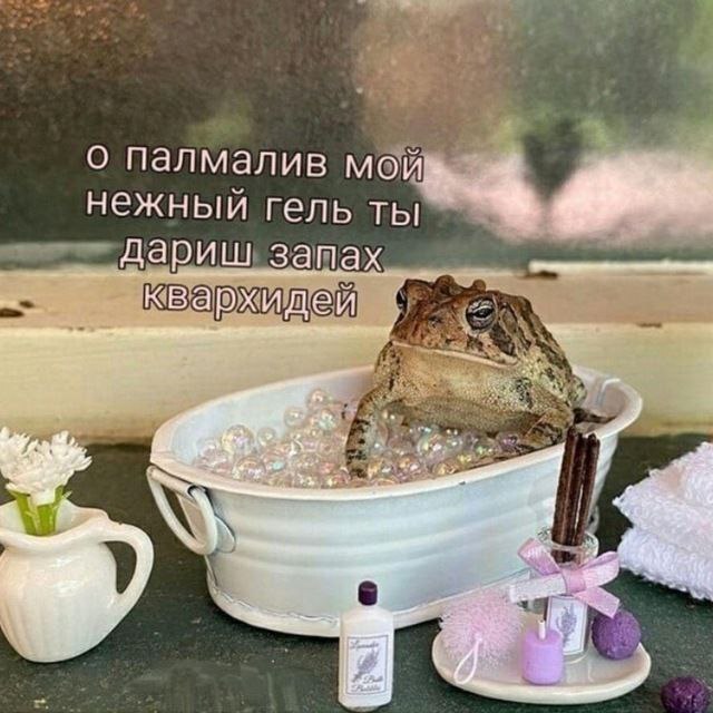 Среда, мои чуваки | Пикабу