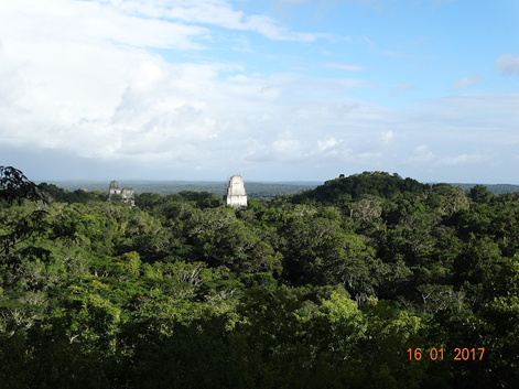 ������������ ����� (5)