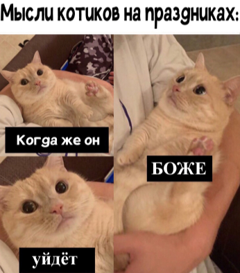 ����� �������