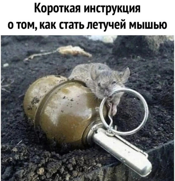 ��� ����� �������