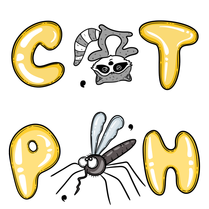 Легкий утренний перекус для мозга