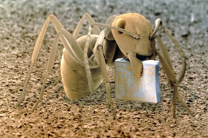    , , , , 
