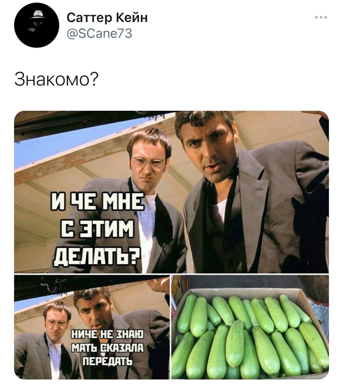 Кабачки | Пикабу