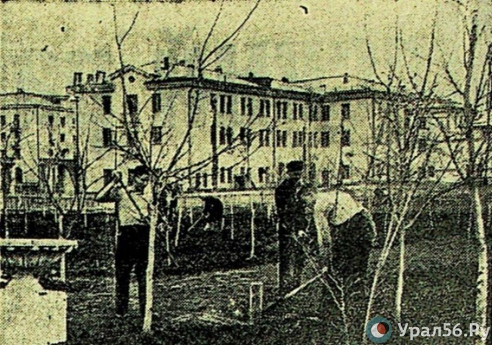 На демонстрацию или в огород. Как 1 Мая отмечали жители Орска во время СССР? Оренбургская область, Ретро, 1 мая, СССР, Длиннопост, Лесопитомник, Лесовосстановление, Саженцы