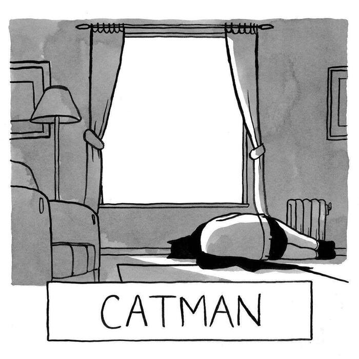 Catman