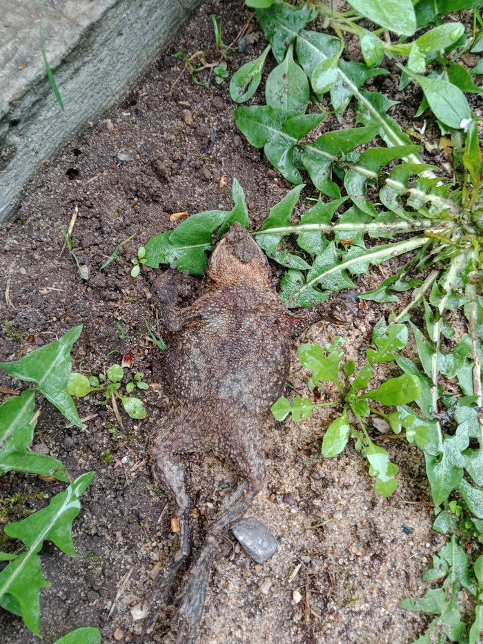 Это вторник, мои чуваки