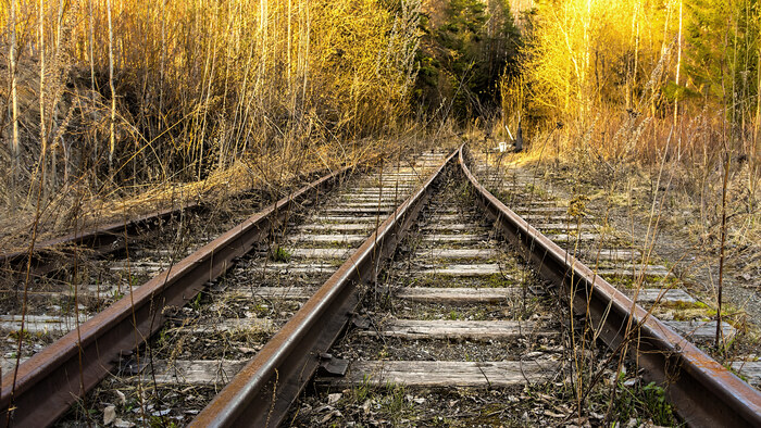 Весенняя фоточка