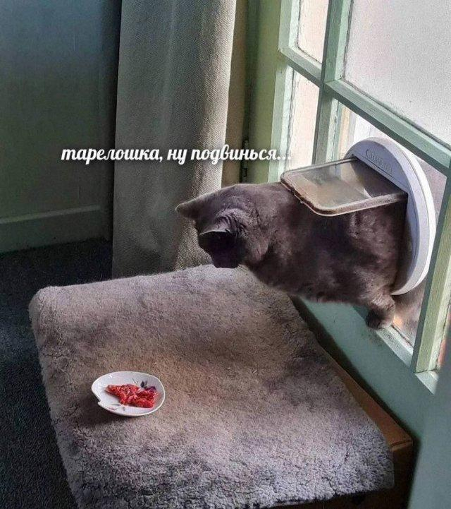  ! ,  ,   