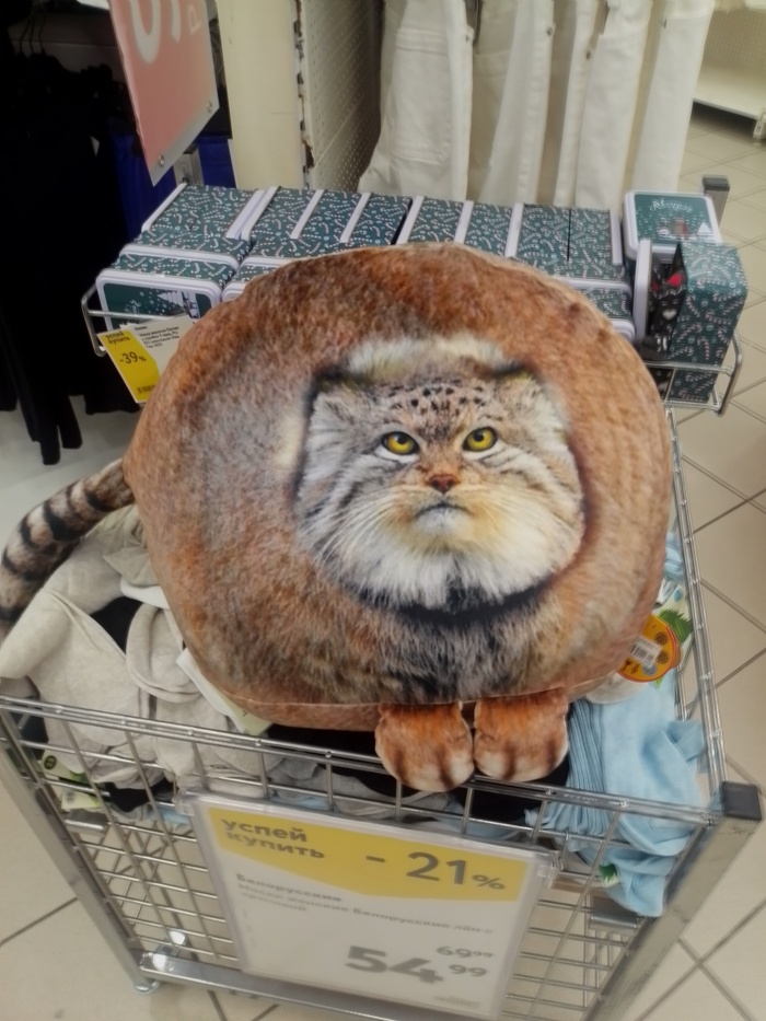 ������ ������ � �����)))