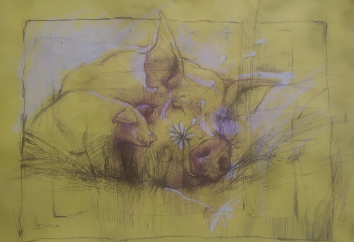 ���������