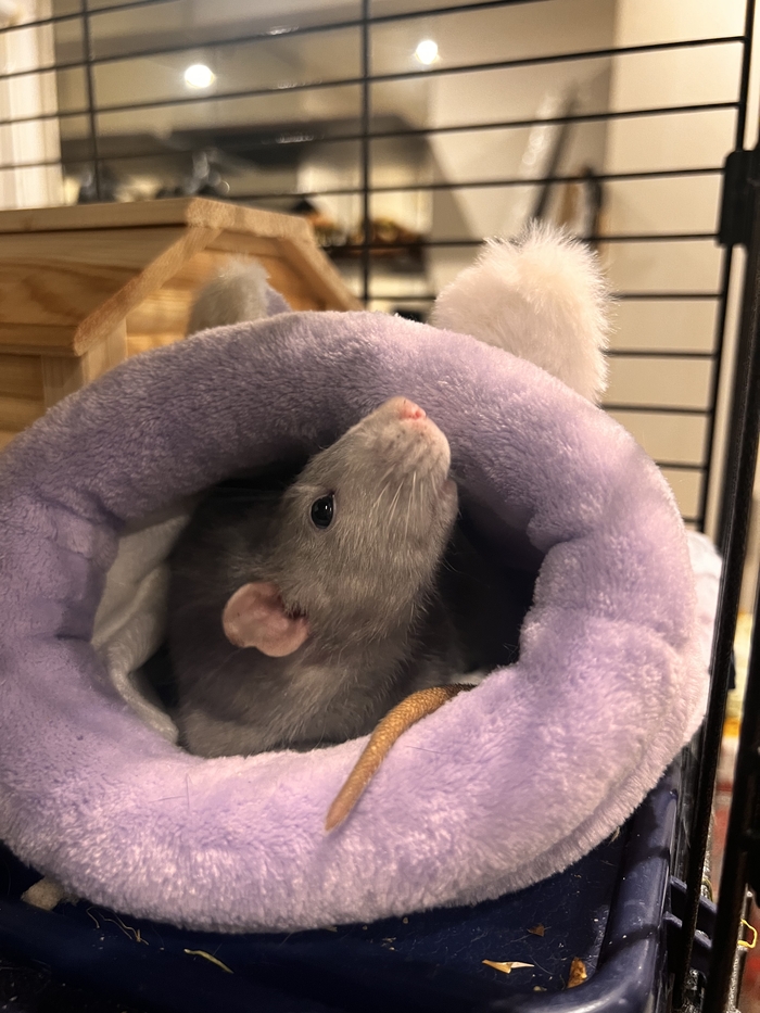 А сфоткай меня, типа я весь такой загадочный ….. и не смотрю на камеру