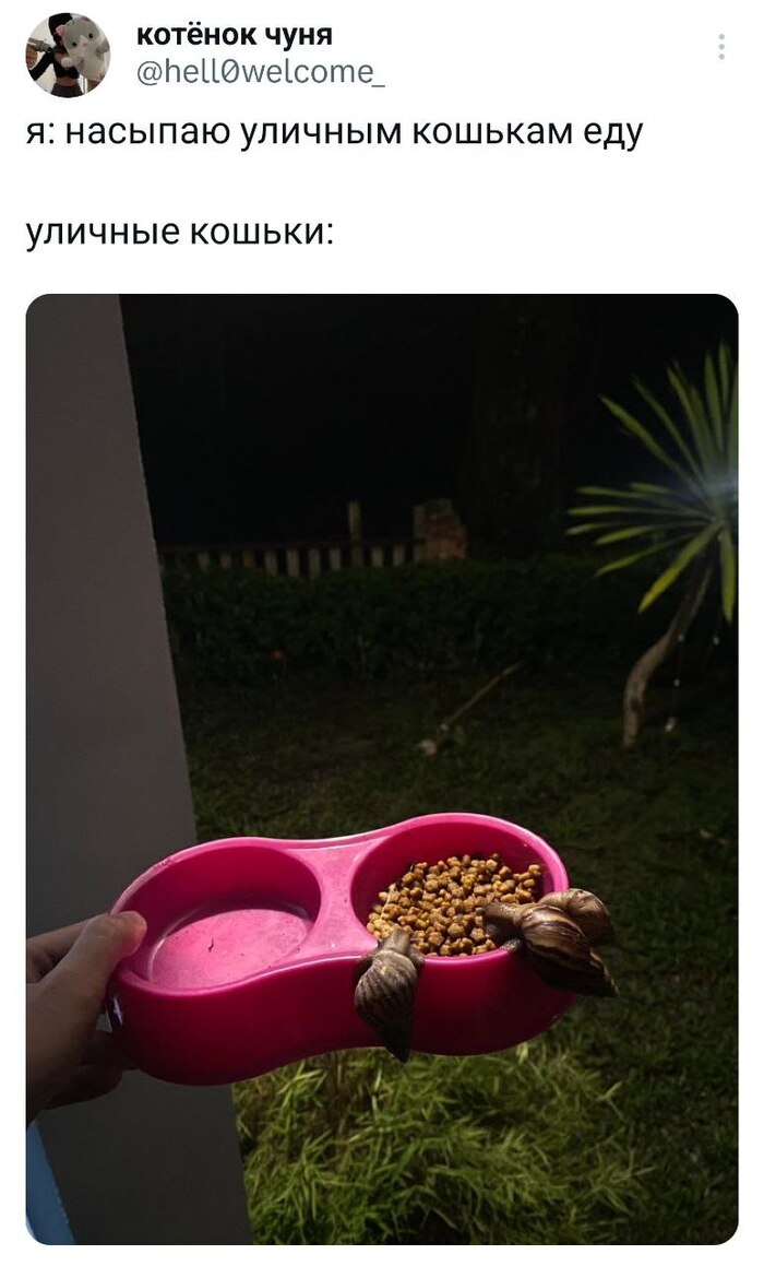 Сбежались на ужин