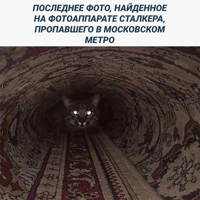  , , ,   
