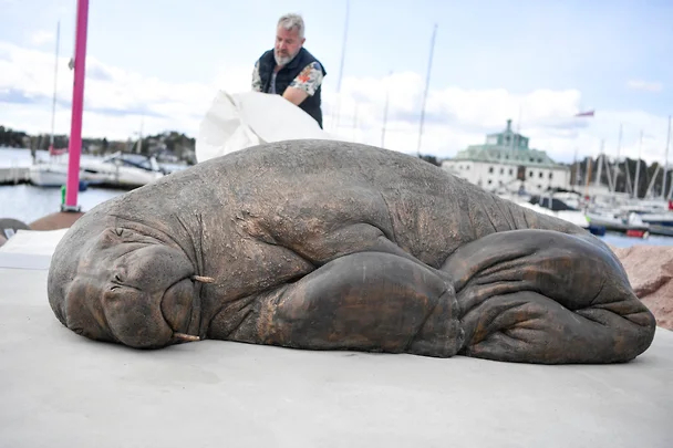 В Норвегии установили памятник усыпленной моржихе Памятник, Моржи, Животные, Мир, Люди, Природа