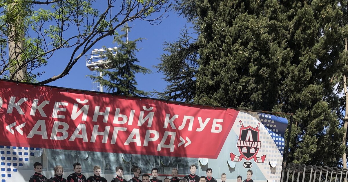 Найдите сына Медведева | Пикабу