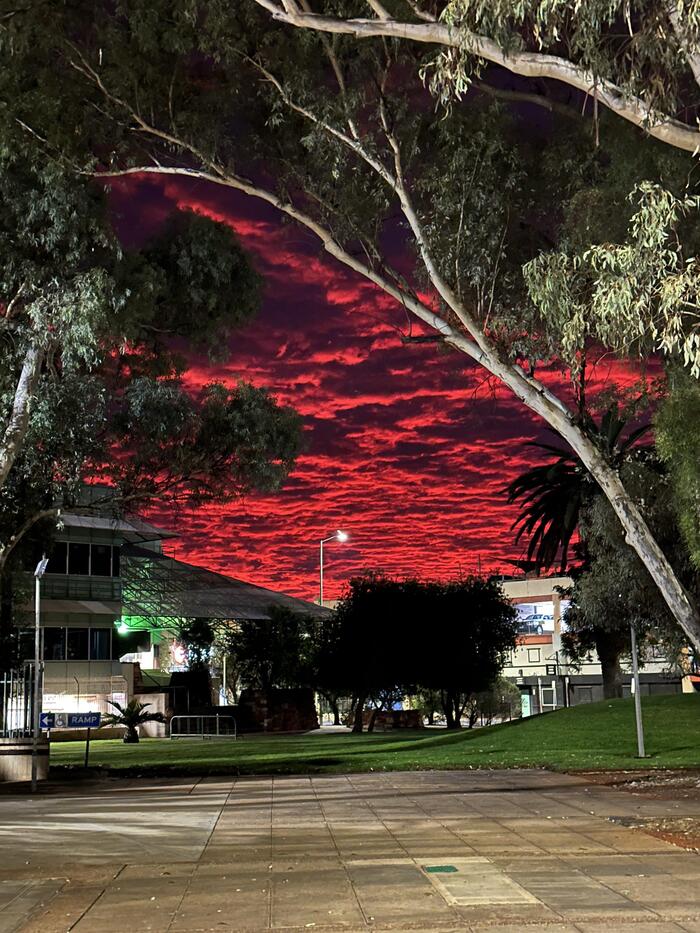 Кровавый австралийский рассвет