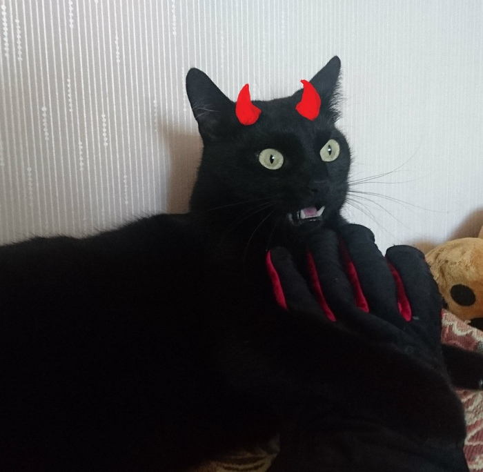 ����� ���� ��� ������ ������