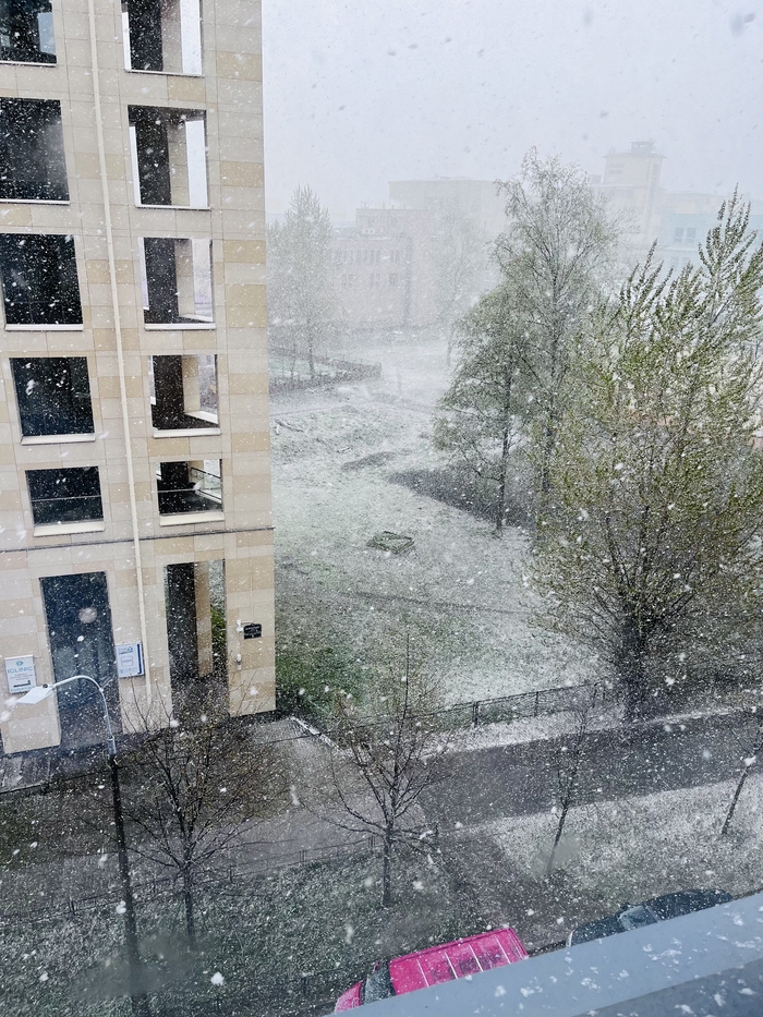 5 мая Снег, Санкт-Петербург, Май, Погода, Мобильная фотография, Вид из окна, Снегопад, Весна
