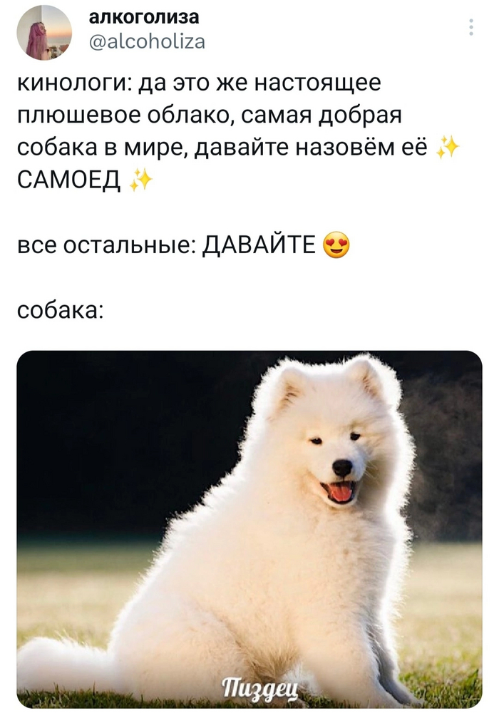  , , X (Twitter), , , , , 