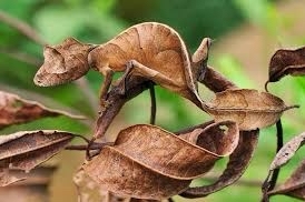 ���-�� ��� ��������� ���. � ��� ��������� ��������. �� ��������� �� ���� � ������: �� ��������-����������