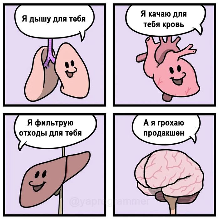 Бытует мнение, что для успешного падения прода мозг не нужен вовсе