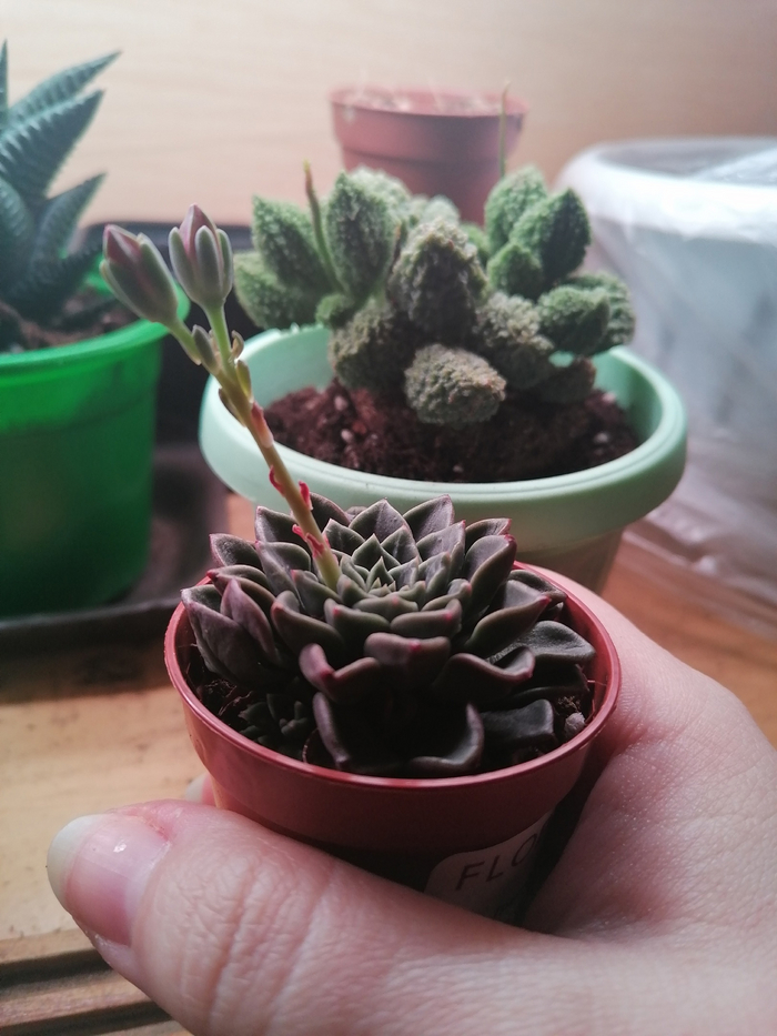 Ответ на пост «Я делал для неё всё!»