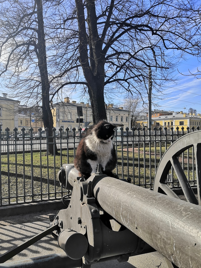 Весенний Петербург Санкт-Петербург, Нева, Летний сад, Виктор Цой, Кот, Длиннопост, Мобильная фотография, Прогулка по городу, Мурал